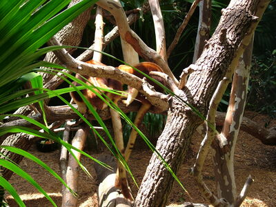 DSCF9789.JPG