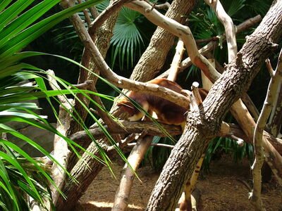 DSCF9790.JPG