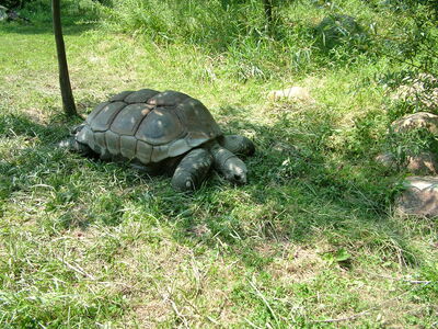 DSCF9792.JPG