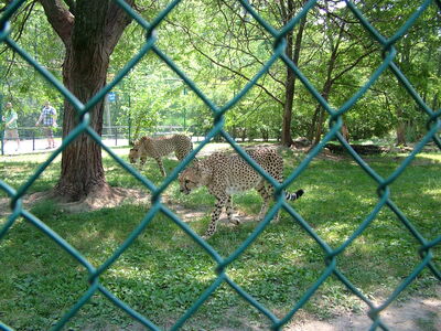 DSCF9793.JPG