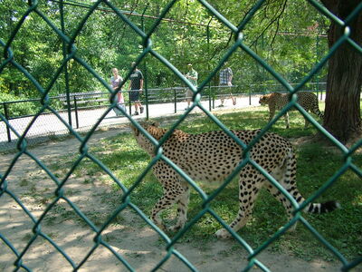 DSCF9794.JPG