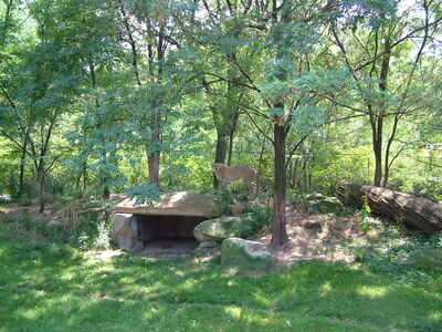 DSCF9795.JPG