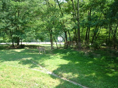 DSCF9798.JPG