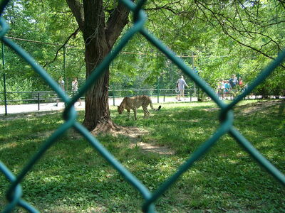 DSCF9799.JPG