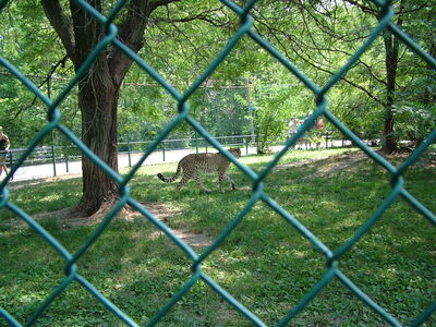 DSCF9800.JPG