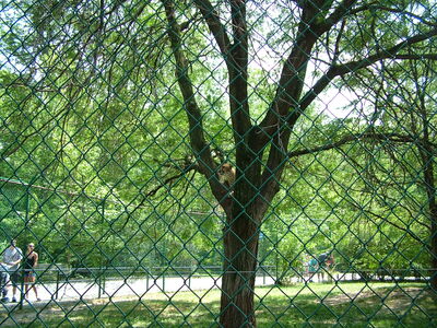 DSCF9801.JPG