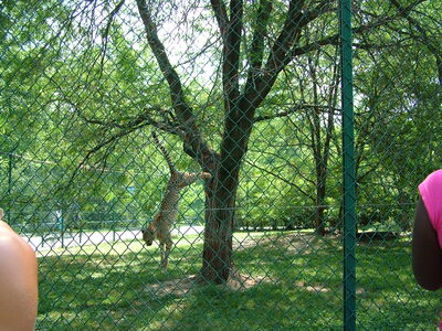 DSCF9803.JPG