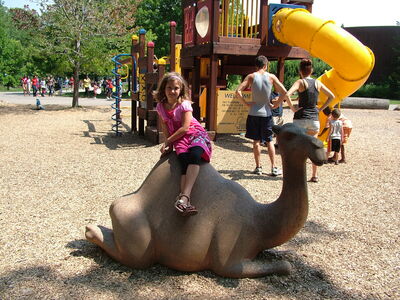 DSCF9806.JPG