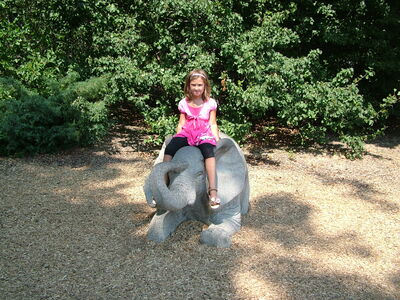 DSCF9807.JPG