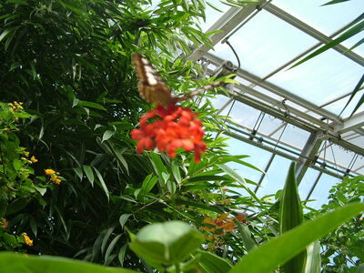 DSCF9809.JPG