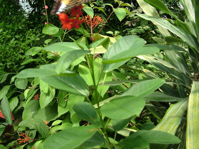 DSCF9810.JPG