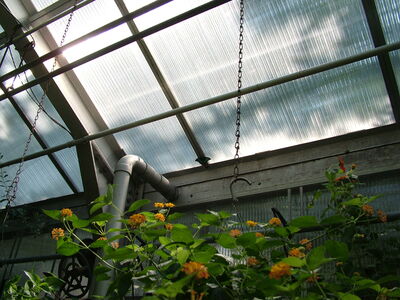 DSCF9811.JPG