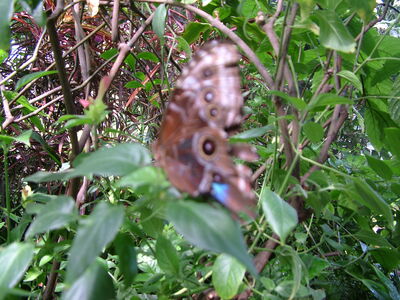 DSCF9813.JPG