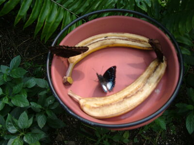 DSCF9814.JPG