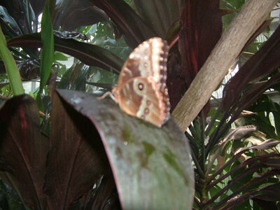 DSCF9816.JPG