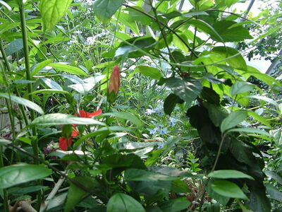 DSCF9817.JPG