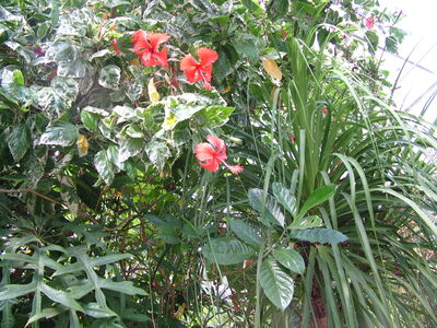 DSCF9819.JPG