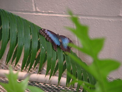 DSCF9820.JPG