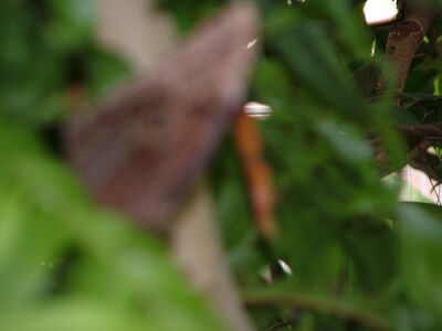 DSCF9821.JPG