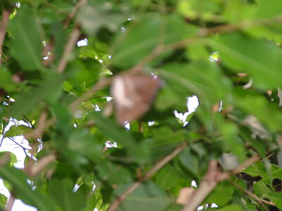 DSCF9822.JPG