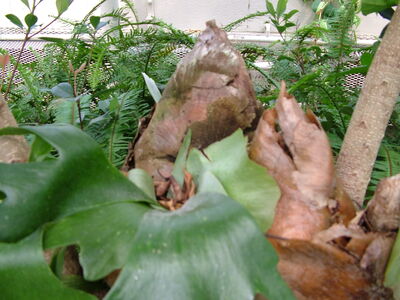 DSCF9823.JPG