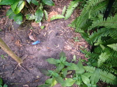 DSCF9824.JPG