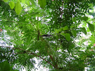 DSCF9825.JPG