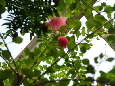 DSCF9826.JPG
