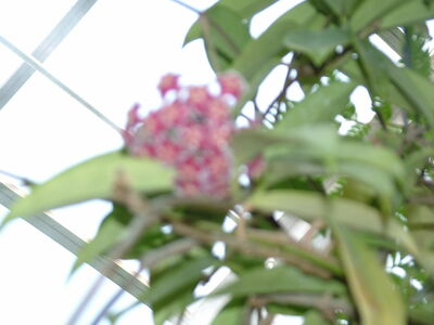 DSCF9828.JPG