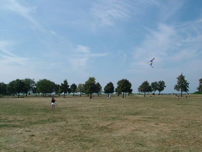 DSCF9861.JPG