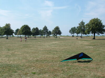 DSCF9863.JPG