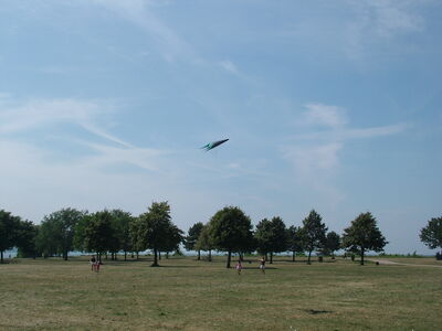 DSCF9865.JPG