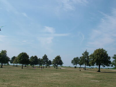 DSCF9866.JPG