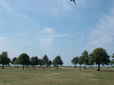 DSCF9867.JPG