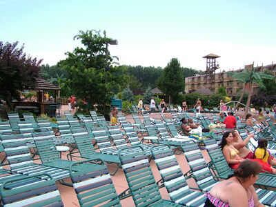 DSCF9890.JPG