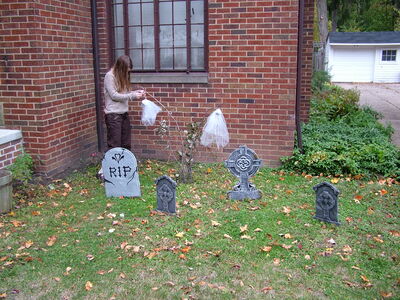 DSCF10474.JPG