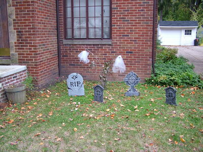 DSCF10475.JPG
