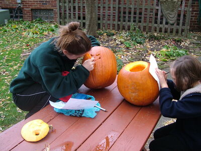 DSCF10482.JPG