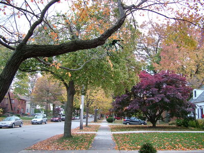 DSCF10494.JPG