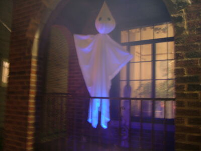DSCF10511.JPG