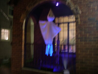 DSCF10512.JPG