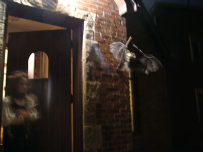 DSCF10519.JPG