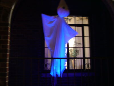 DSCF10528.JPG