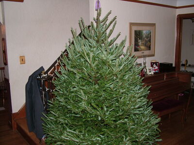 DSCF10575.JPG