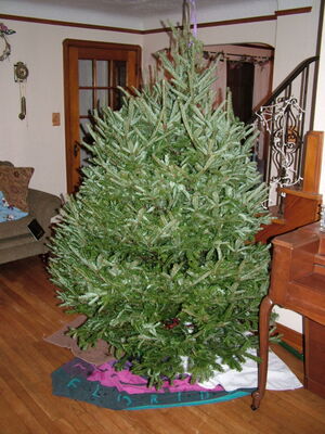 DSCF10576.JPG