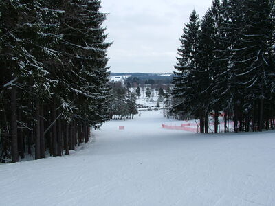 DSCF10741.JPG