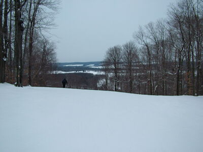 DSCF10774.JPG