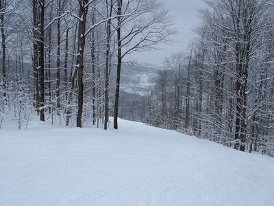 DSCF10802.JPG