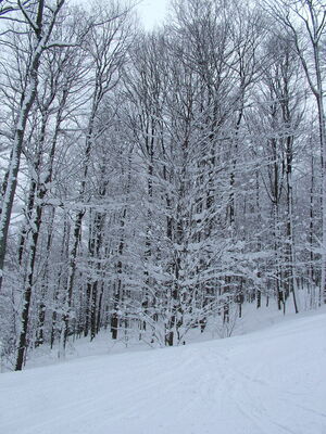 DSCF10803.JPG