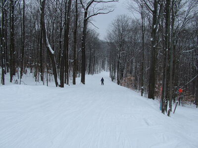 DSCF10808.JPG